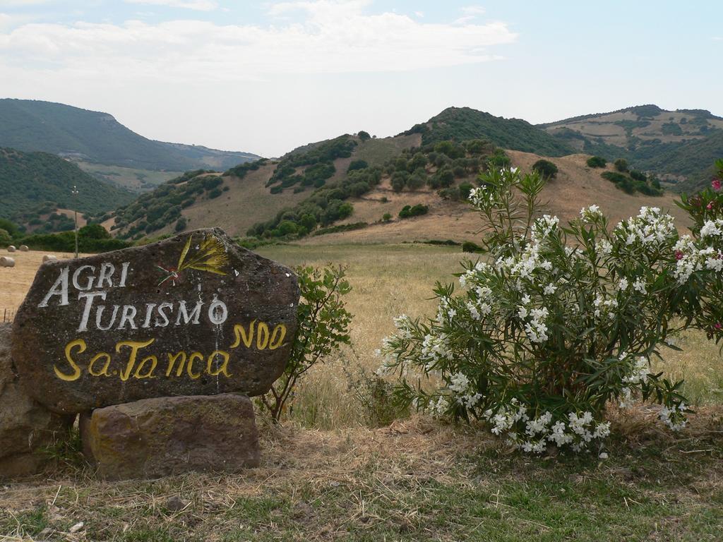 Agriturismo Sa Tanca Noa Tergu Exteriér fotografie