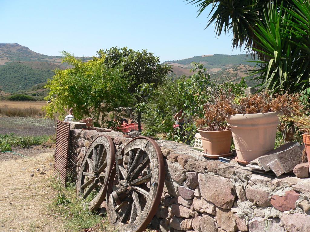Agriturismo Sa Tanca Noa Tergu Exteriér fotografie