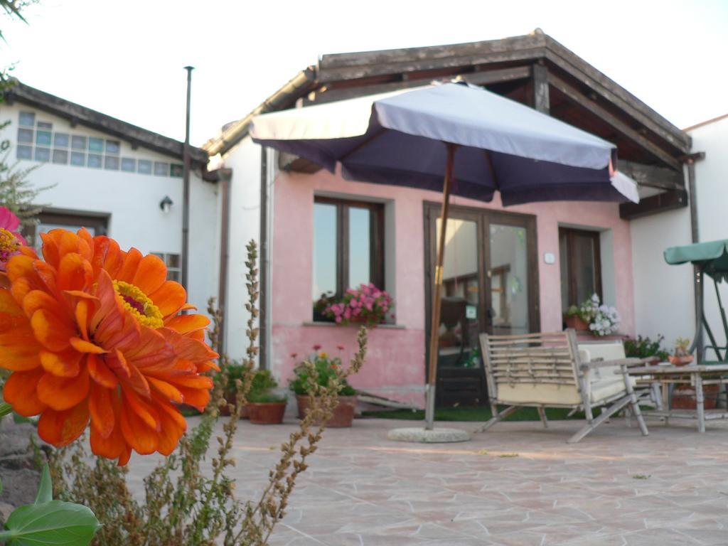 Agriturismo Sa Tanca Noa Tergu Exteriér fotografie