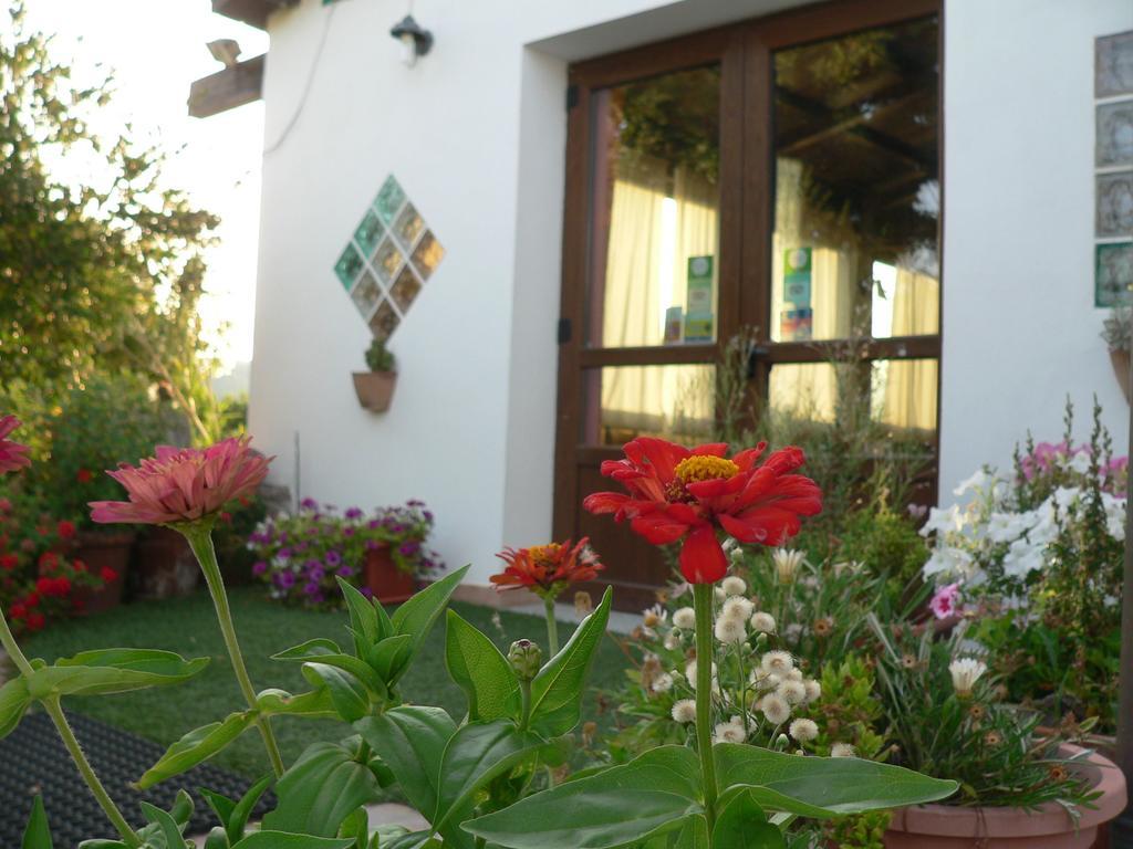 Agriturismo Sa Tanca Noa Tergu Exteriér fotografie