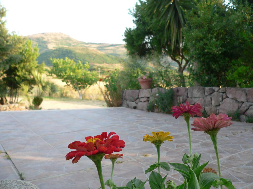 Agriturismo Sa Tanca Noa Tergu Exteriér fotografie