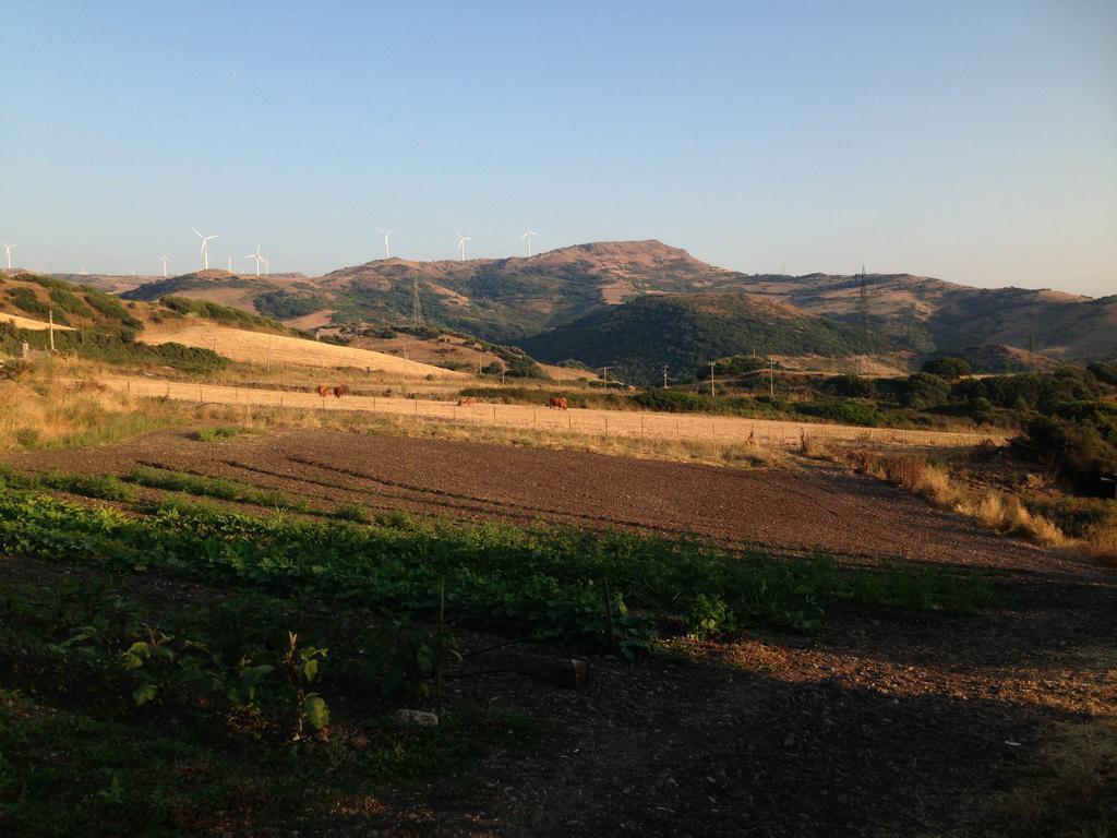Agriturismo Sa Tanca Noa Tergu Exteriér fotografie