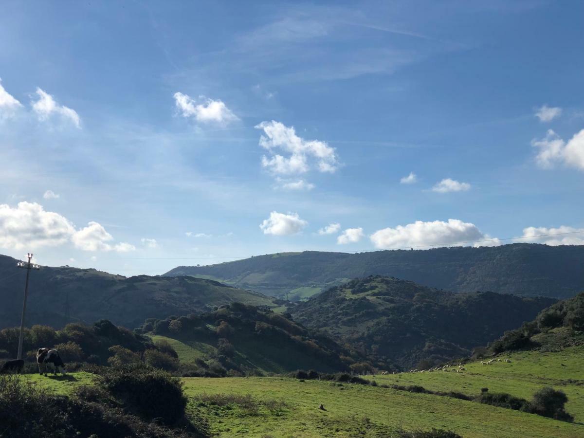 Agriturismo Sa Tanca Noa Tergu Exteriér fotografie