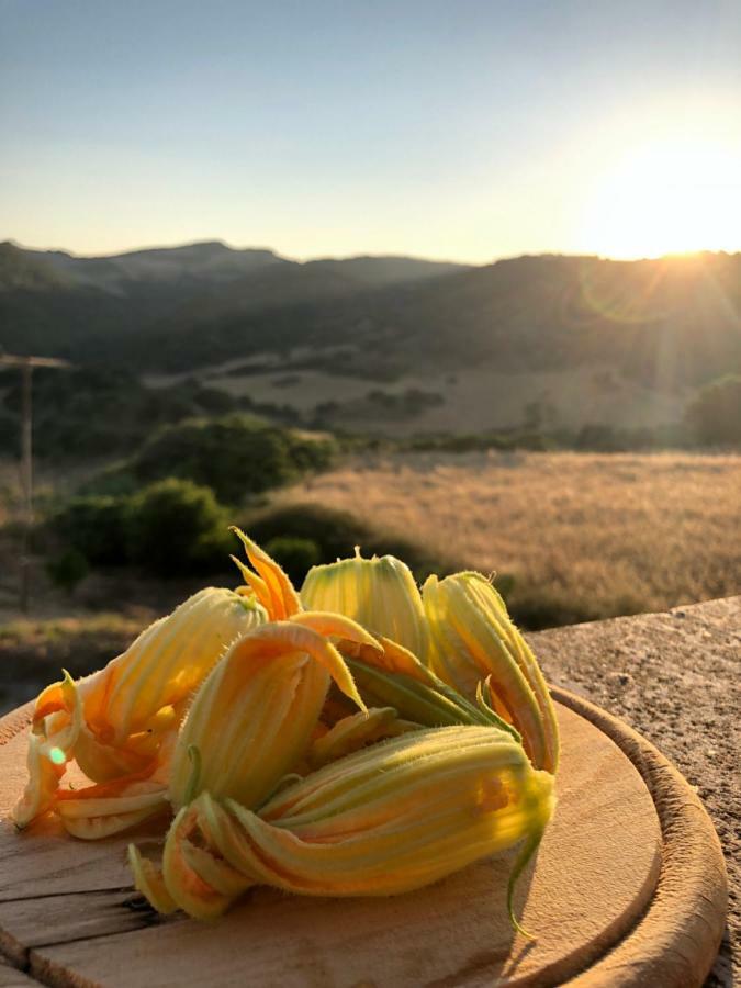 Agriturismo Sa Tanca Noa Tergu Exteriér fotografie